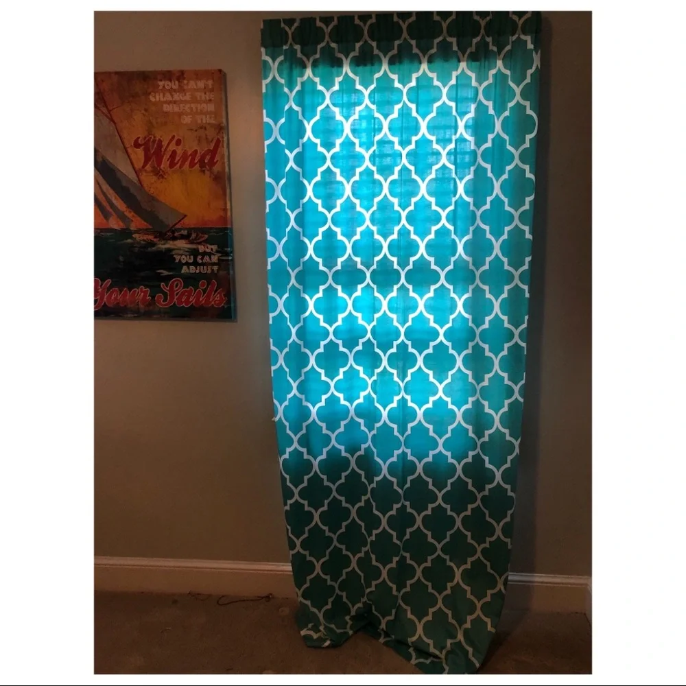 COPY - Z Gallerie Panel curtains